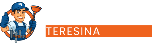ícone desentupidora teresina