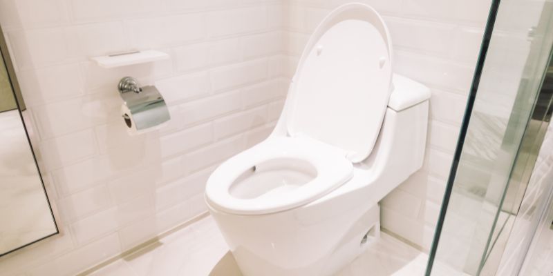 Como Desentupir Vaso Sanitário Que Caiu Objeto Dentro em Teresina: 4 Técnicas Como Desentupir Vaso Sanitário Que Caiu Objeto Dentro em Teresina: 4 Técnicas